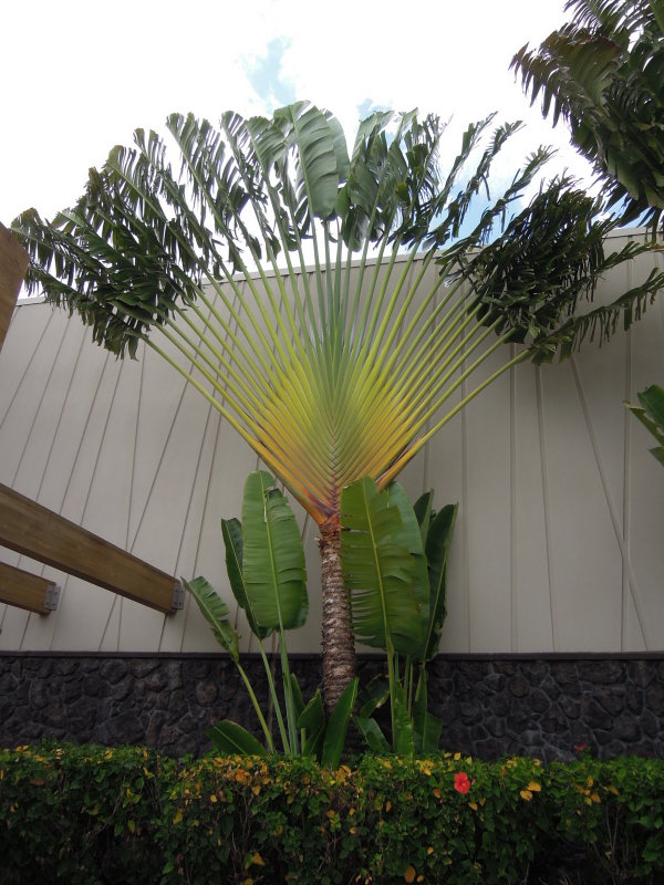 DSCN4767.JPG