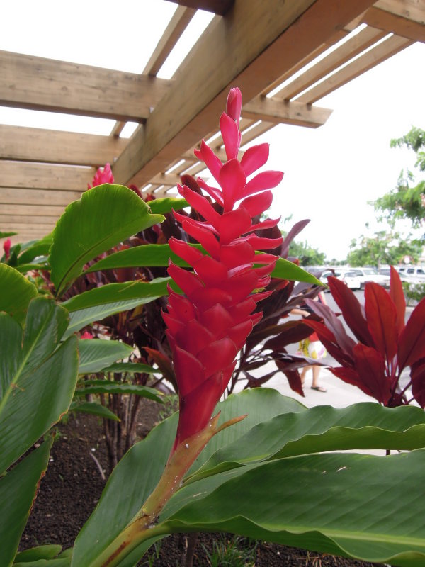DSCN4768.JPG