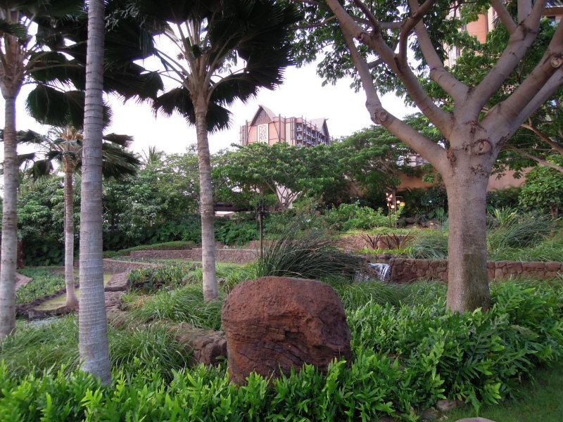 DSCN4874.JPG