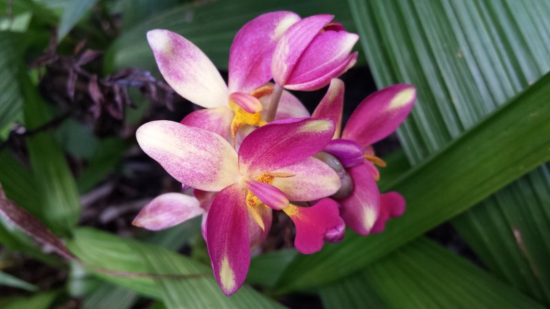 20140723_103235.jpg