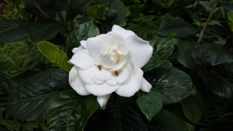20140723_103257.jpg