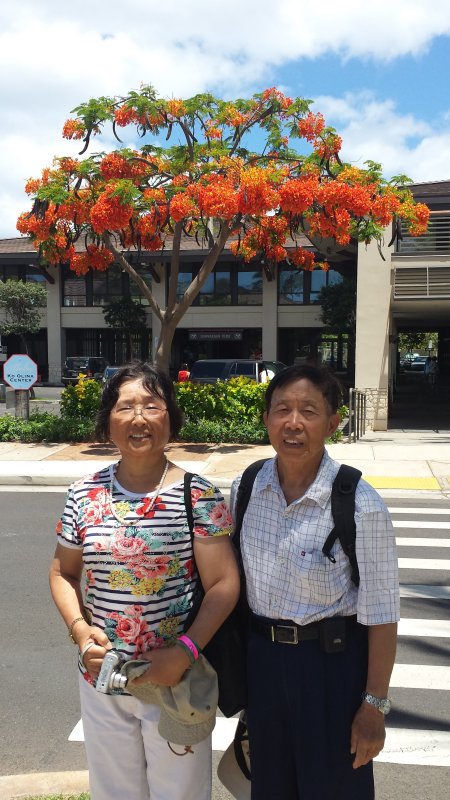 20140723_115251.jpg