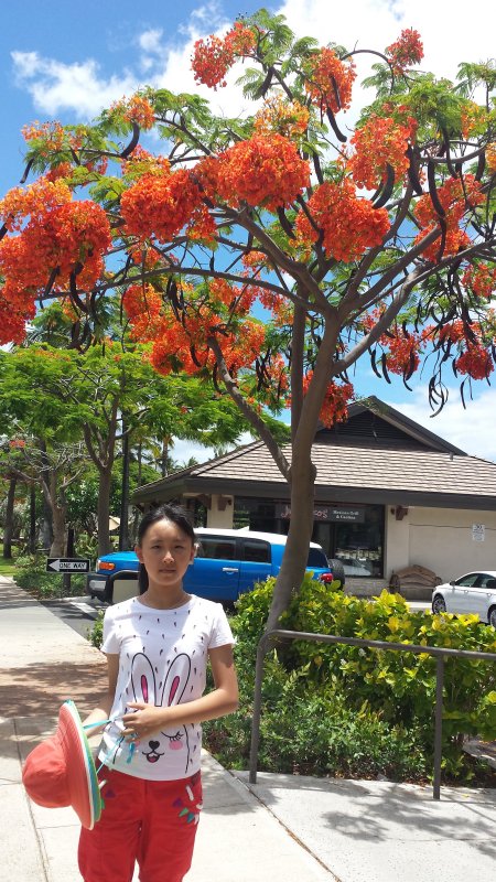 20140723_125456.jpg