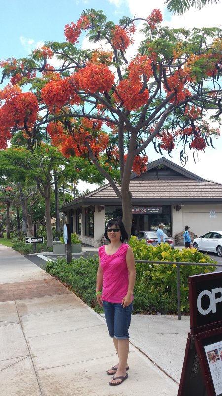 20140723_125604.jpg