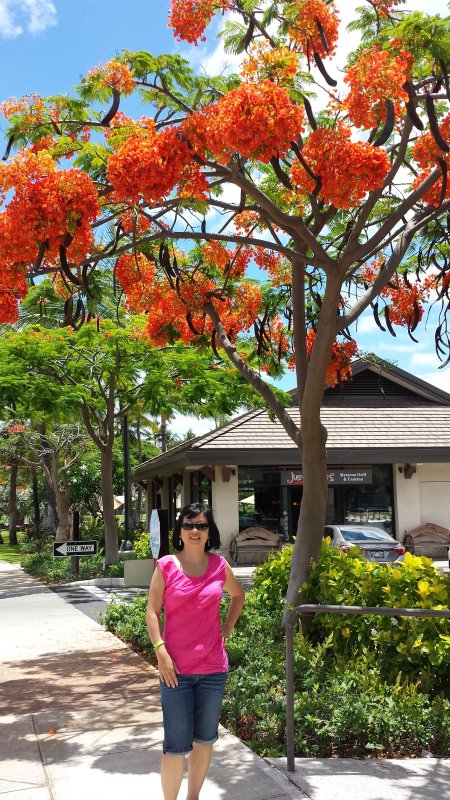 20140723_125731.jpg