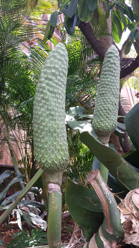 20140723_134722.jpg