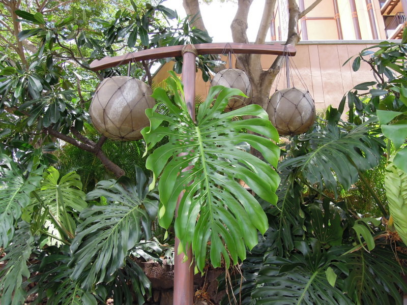 DSCN5009.JPG