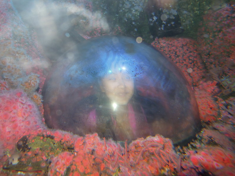 DSCN5530.JPG
