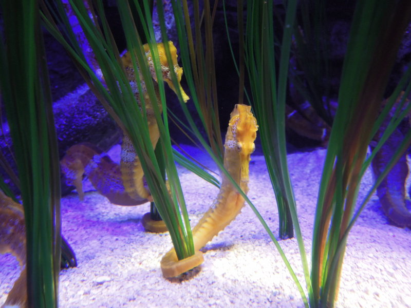 DSCN5539.JPG