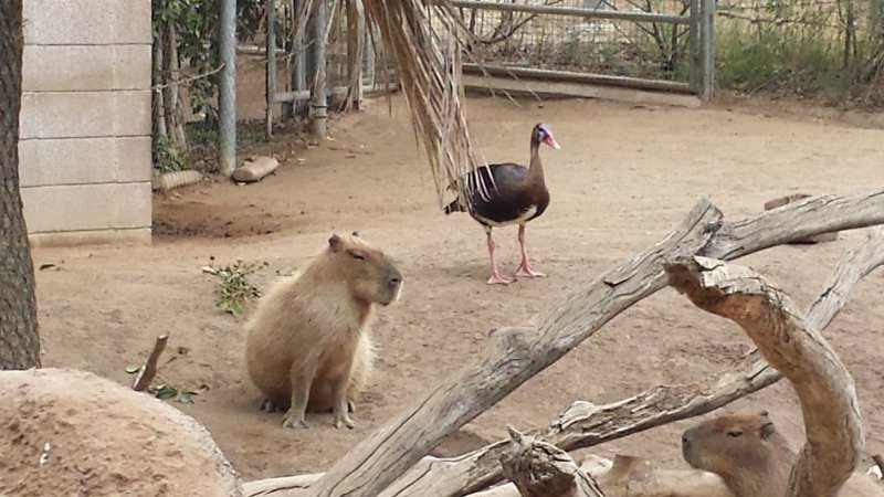 20140803_143722.jpg