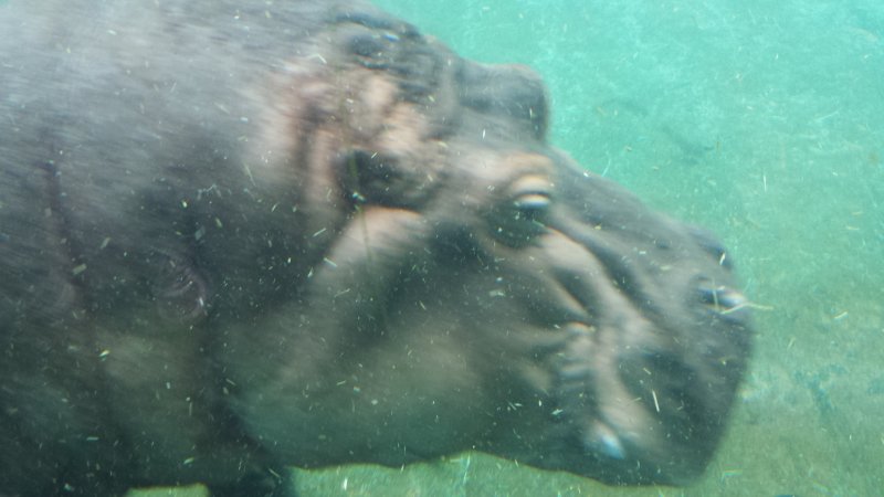 20140803_161518.jpg