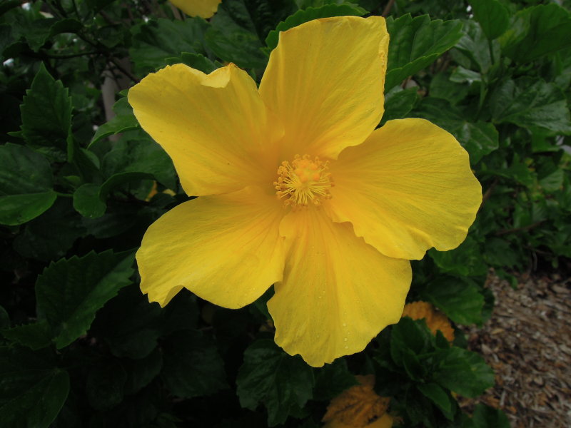 DSCN5547.JPG
