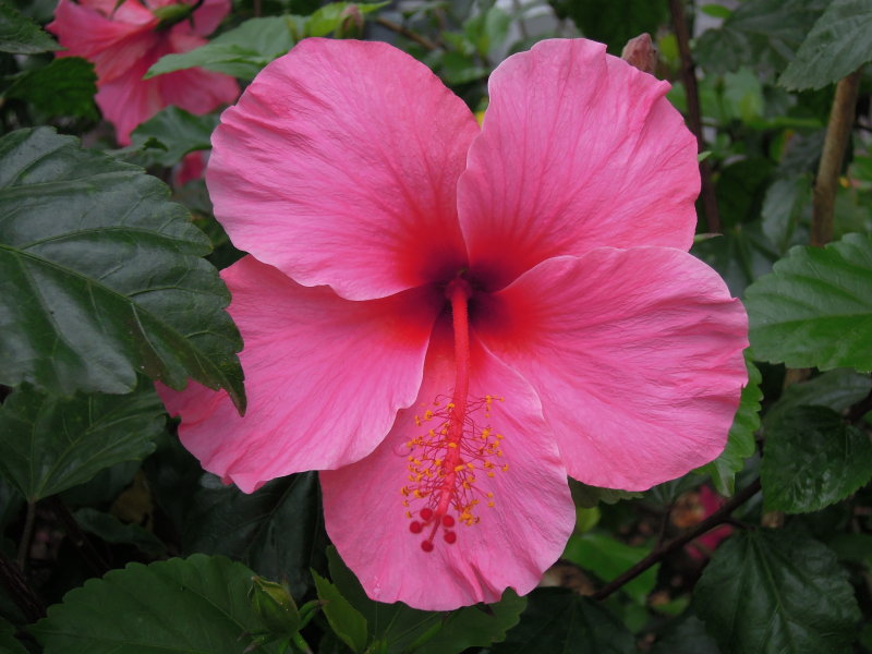 DSCN5592.JPG
