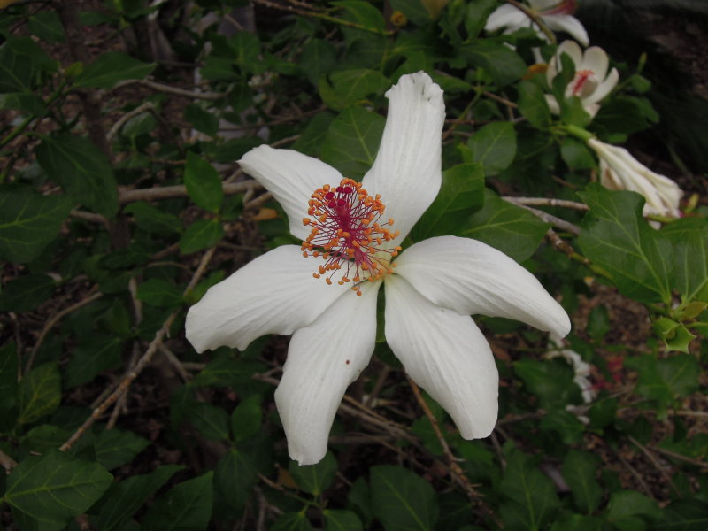 DSCN5595.JPG