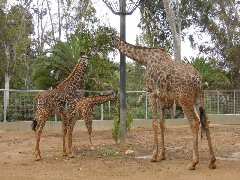 DSCN5620.JPG