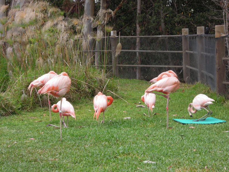 DSCN5623.JPG