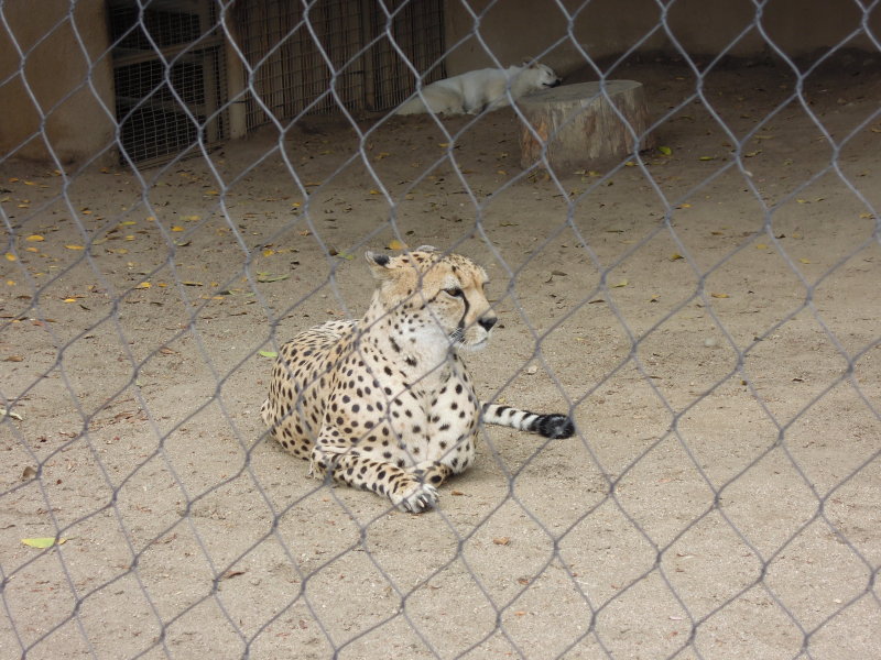 DSCN5630.JPG