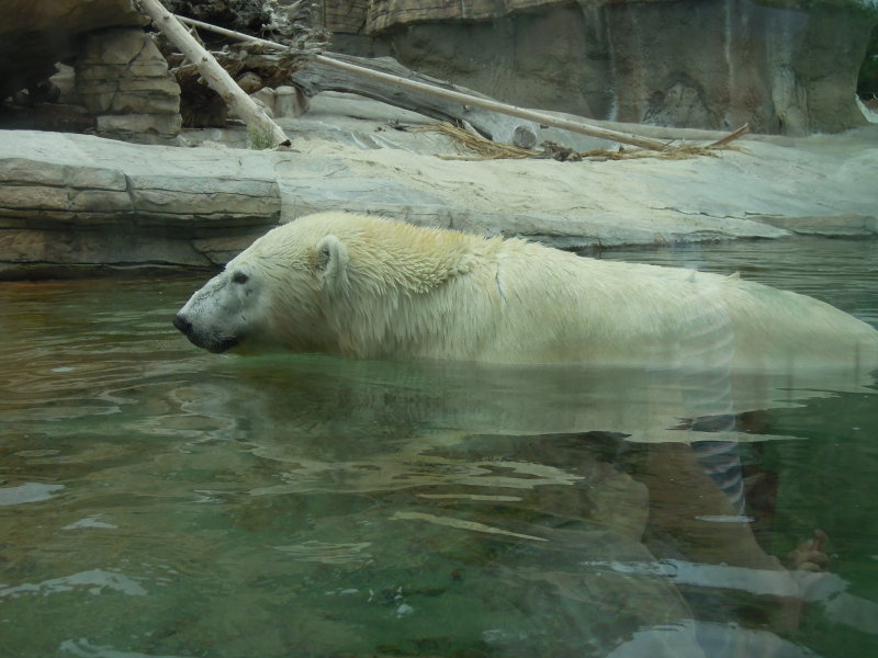 DSCN5654.JPG