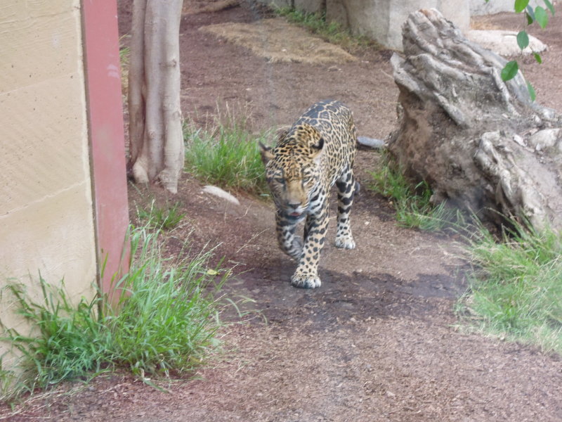 DSCN5686.JPG