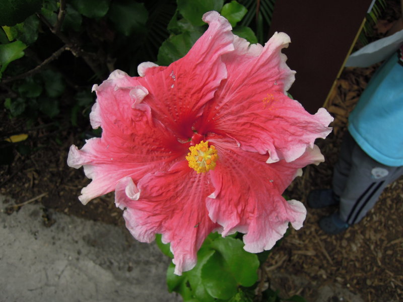 DSCN5714.JPG