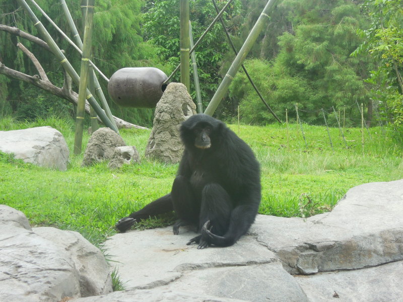 DSCN5716.JPG