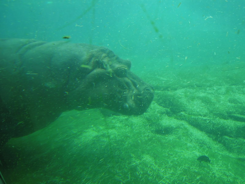 DSCN5734.JPG