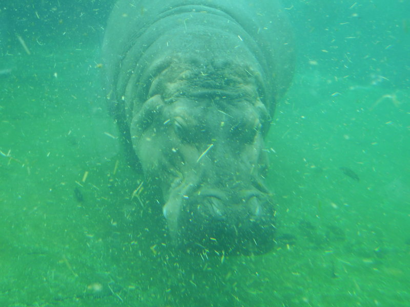 DSCN5738.JPG