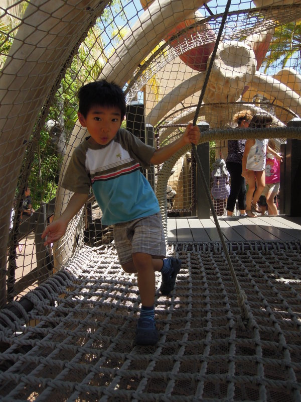 DSCN5453.JPG