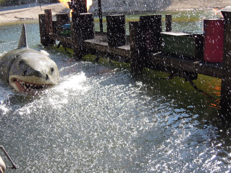 DSCN5467.JPG