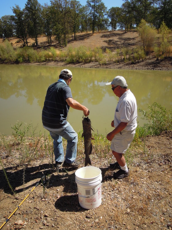 DSCN5958.JPG