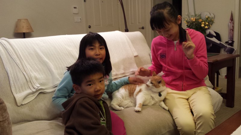20140710_221746.jpg