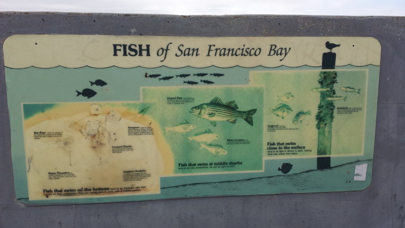20140713_091906.jpg