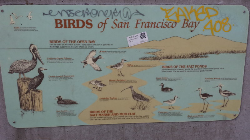 20140713_092037.jpg