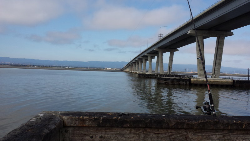 20140713_093343.jpg