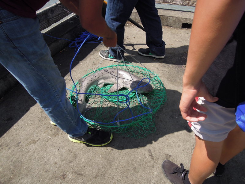 DSCN4349.JPG