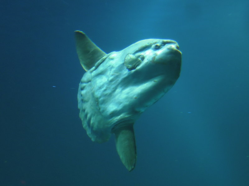 DSCN5256.JPG