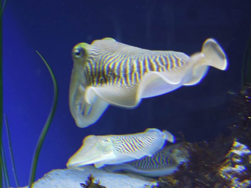 DSCN5300.JPG