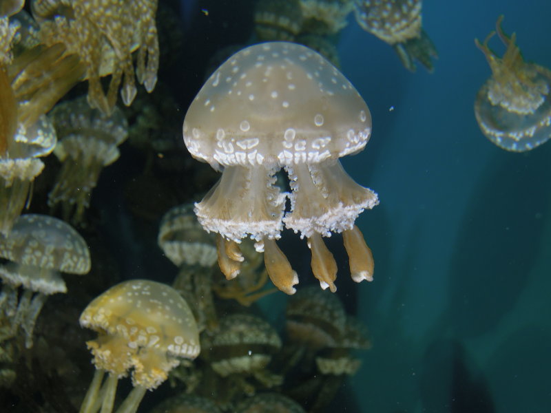 DSCN5308.JPG