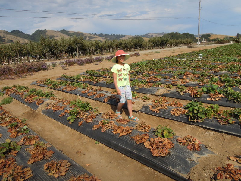 DSCN5128.JPG