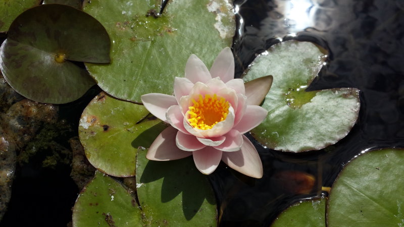 20140714_154735.jpg