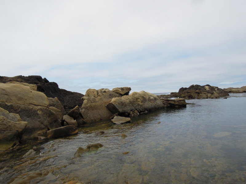 DSCN5175.JPG