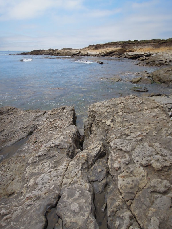 DSCN5189.JPG