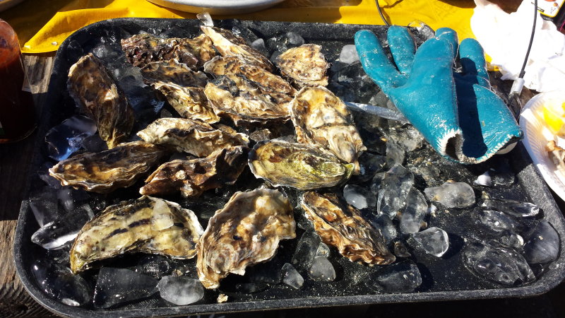 20141026_112248.jpg