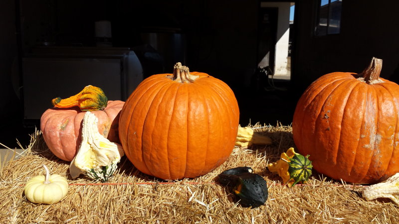 20141026_133934.jpg