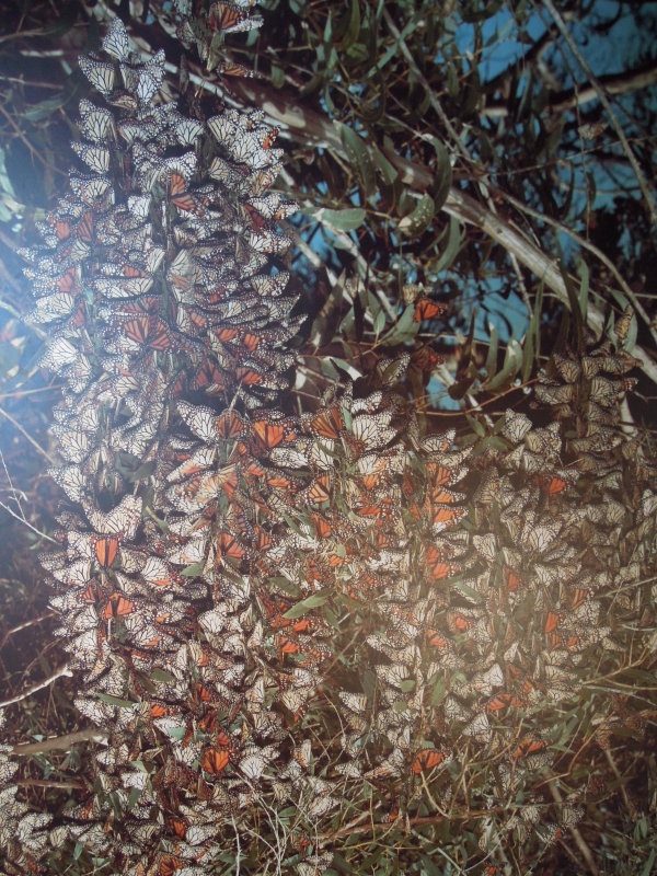 DSCN7164.JPG