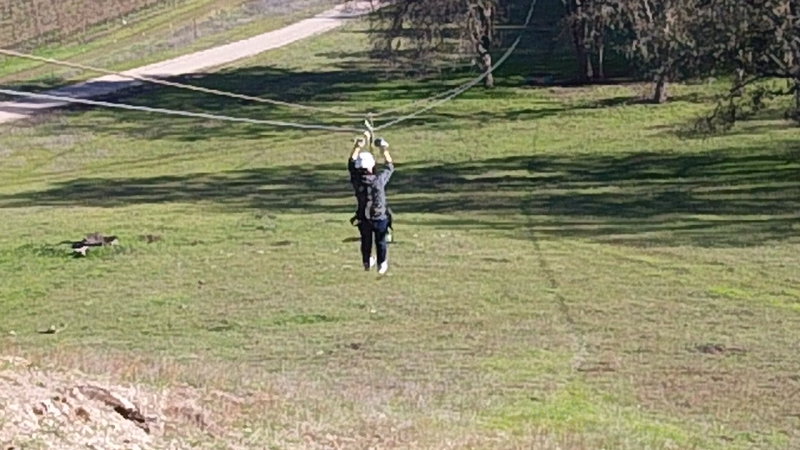 100_1703.JPG