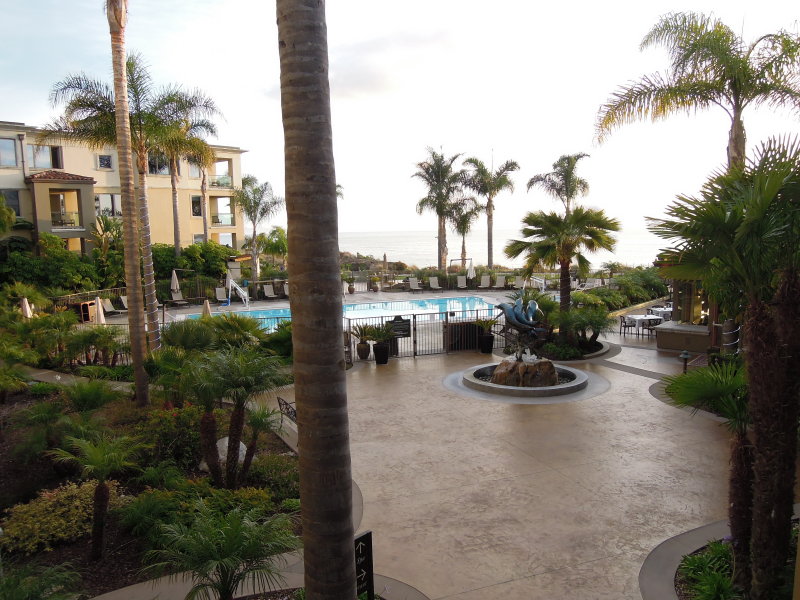 DSCN7309.JPG