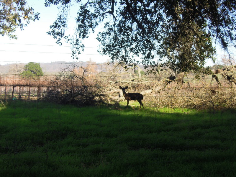 DSCN7405.JPG