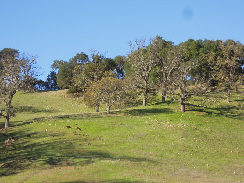 DSCN7408.JPG