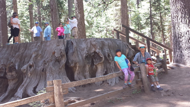 20150616_124140.jpg